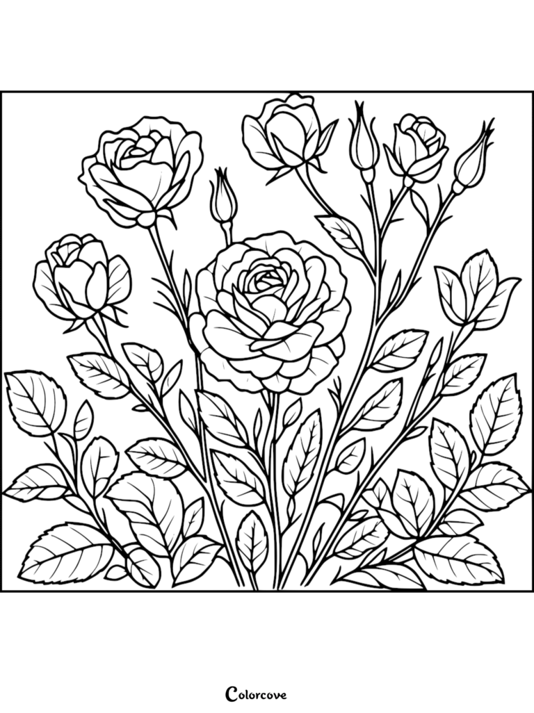 A detailed rose coloring page featuring multiple blooming flowers and buds with lush green leaves.