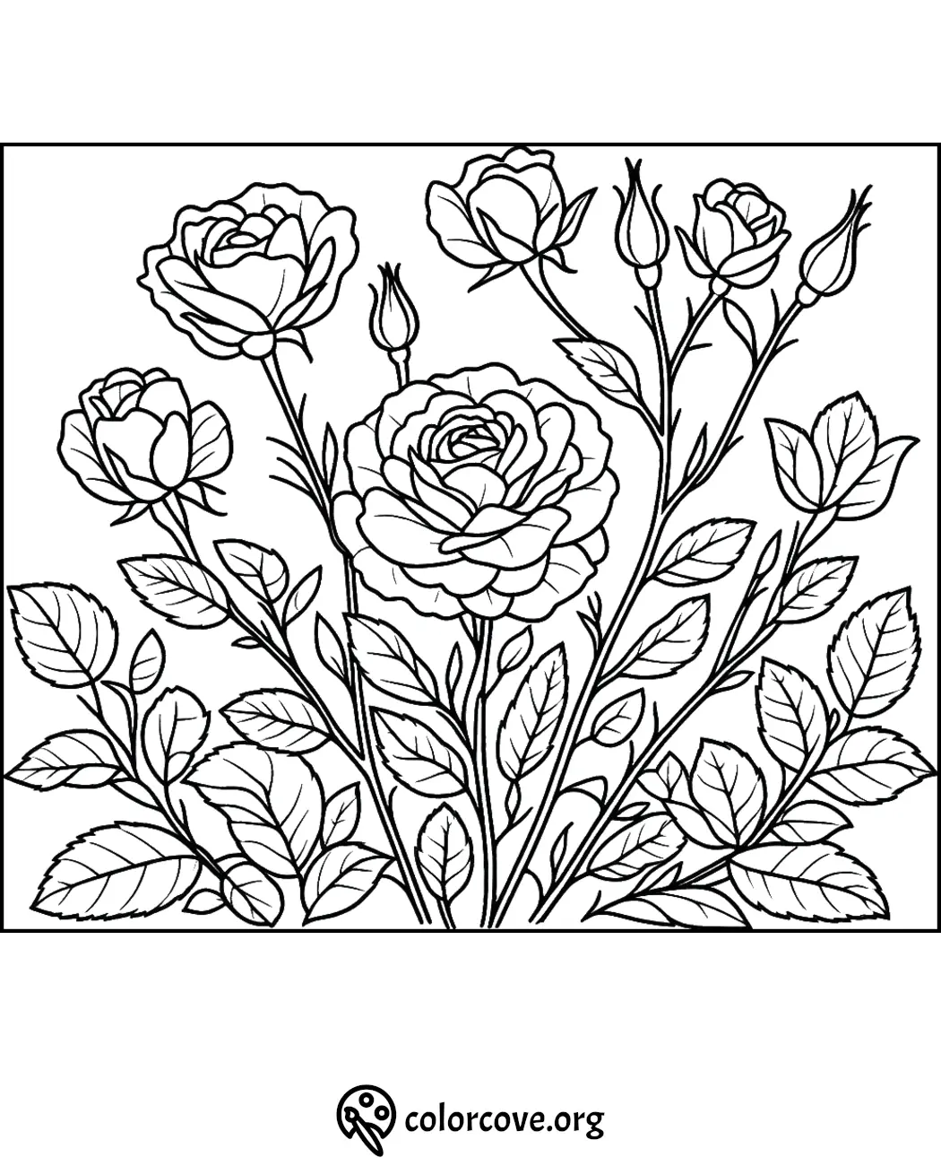 Coloring page featuring intricate rose flowers and leaves, perfect for relaxation and creativity.