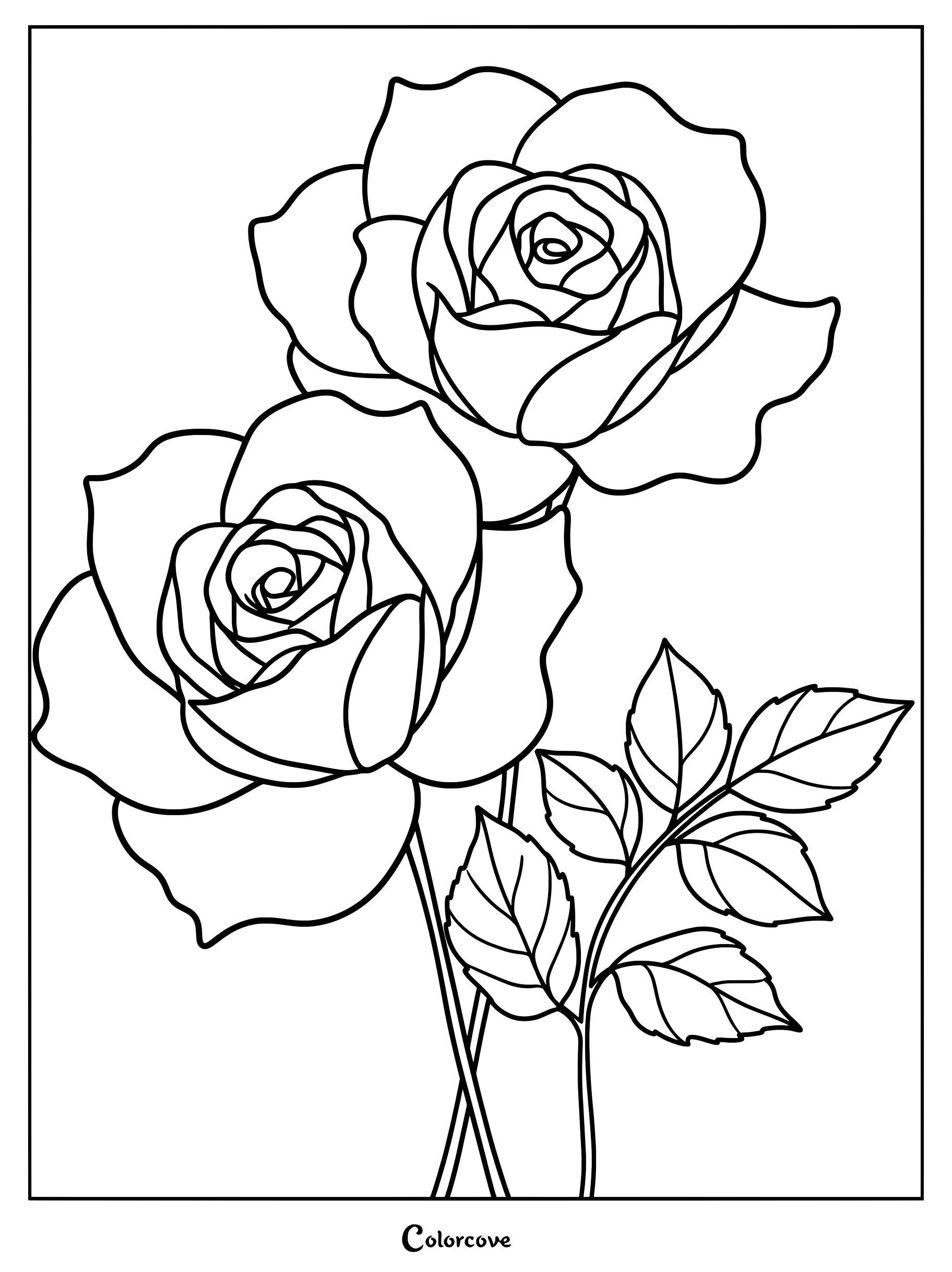 Une page de coloriage à imprimer représentant deux roses épanouies aux pétales détaillés et à la tige feuillue.