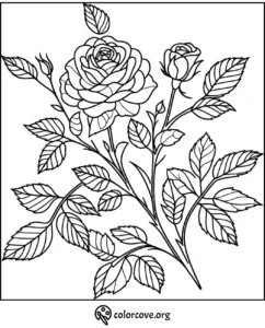 Roses coloring page with intricate flowers and leaves for kids and adults to color from colorcove.org