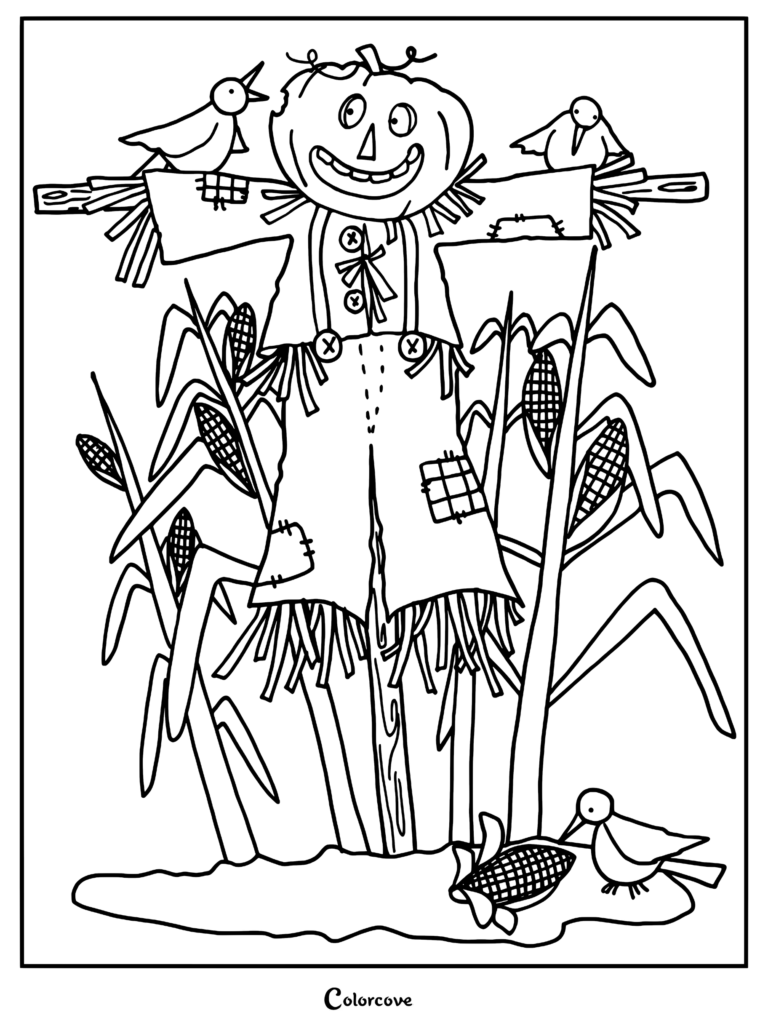 Un epouvantail à tête de citrouille avec des oiseaux perchés sur ses bras dans un champ de maïs, page de coloriage.