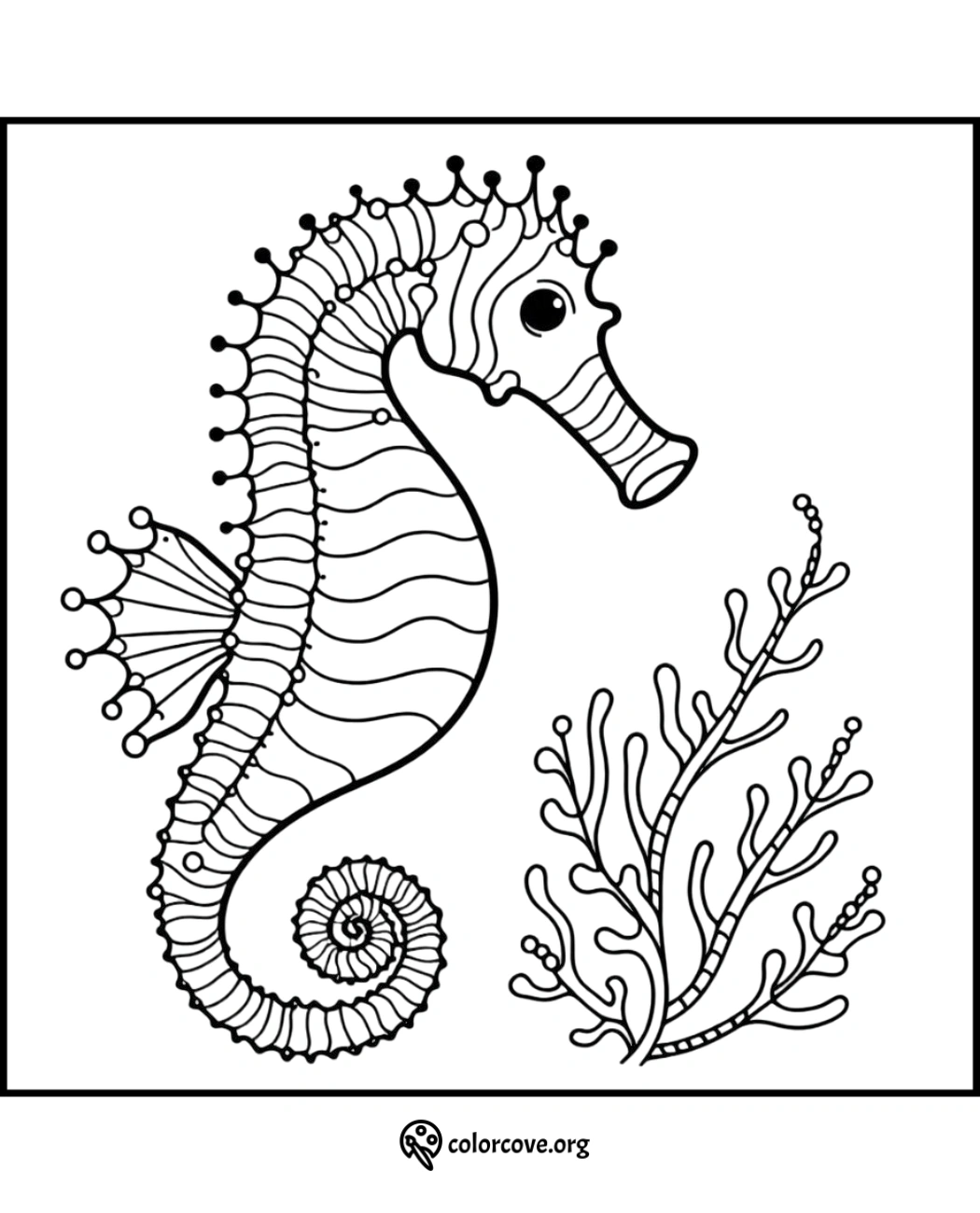 Coloring page of a detailed seahorse with seaweed, perfect for kids and adults. Printable black and white ocean-themed art.