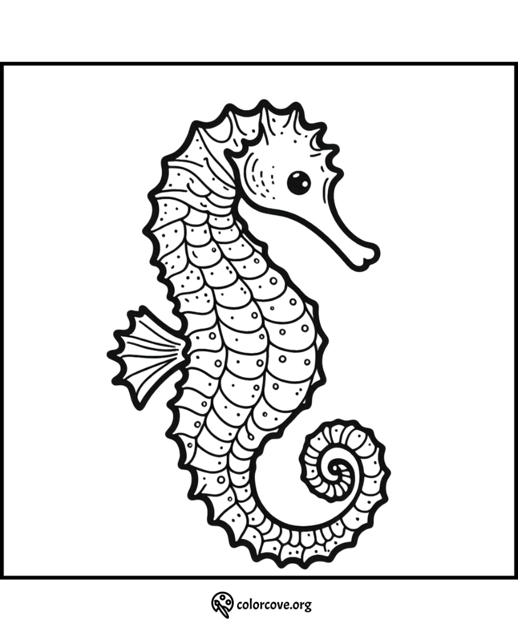 Seahorse coloring page illustration with intricate details, perfect for kids and adults. Download and print from colorcove.org.