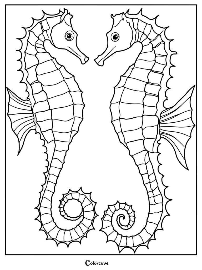 Two detailed seahorse figures facing each other for a coloring page.