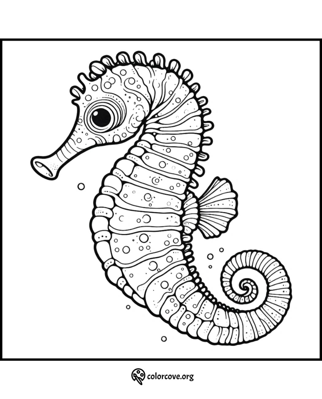 Seahorse coloring page for kids and adults, intricate marine animal illustration to color and relax.