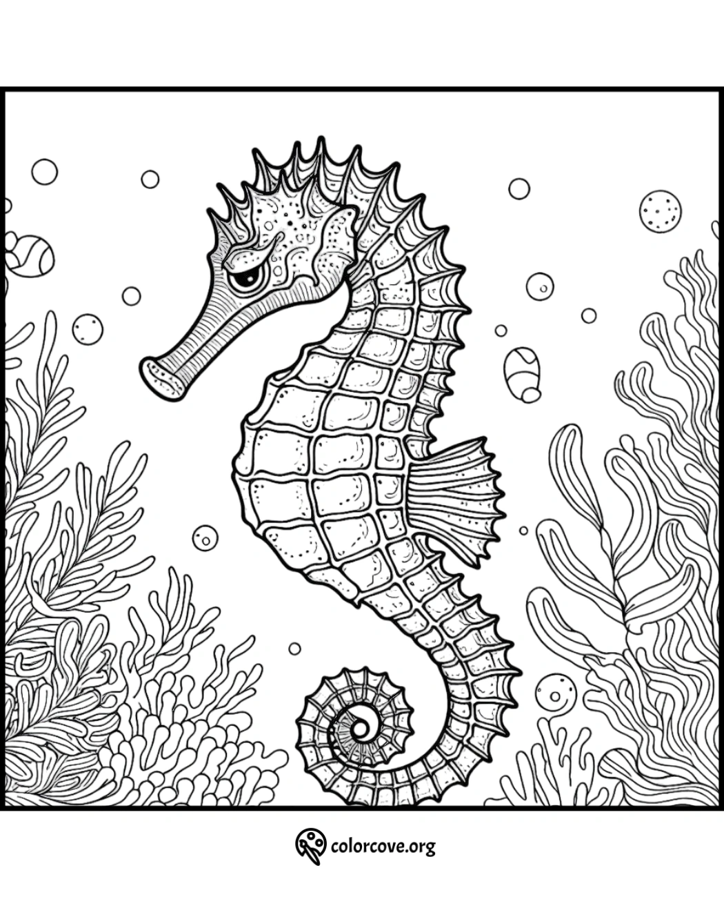 Detailed seahorse coloring page with underwater plants and bubbles for kids and adults to enjoy coloring.