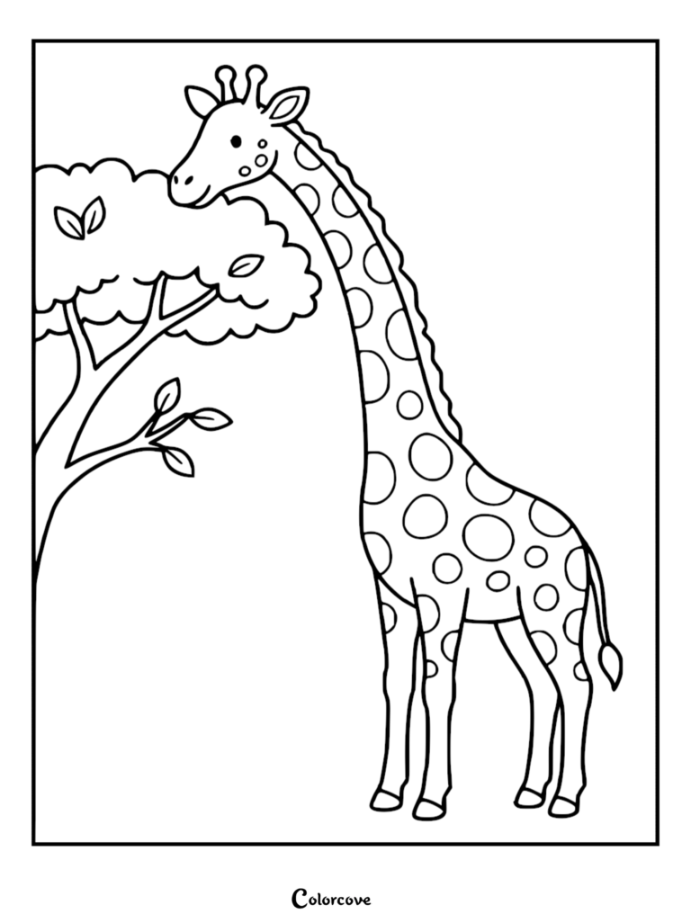 A simple giraffe coloring page featuring a tall giraffe with round spots eating leaves from a small tree.