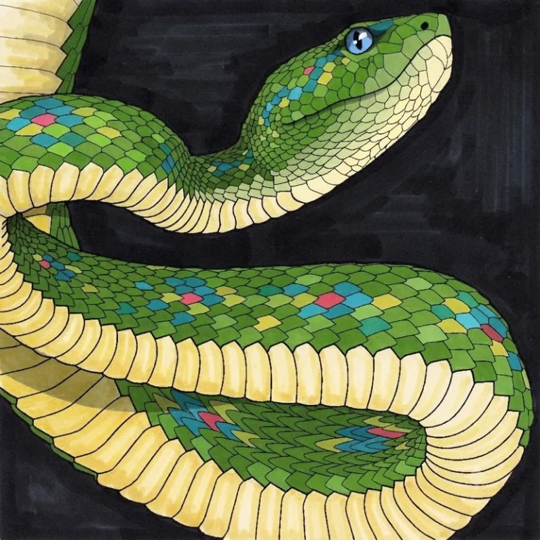 31 coloriages de serpents : designs créatifs