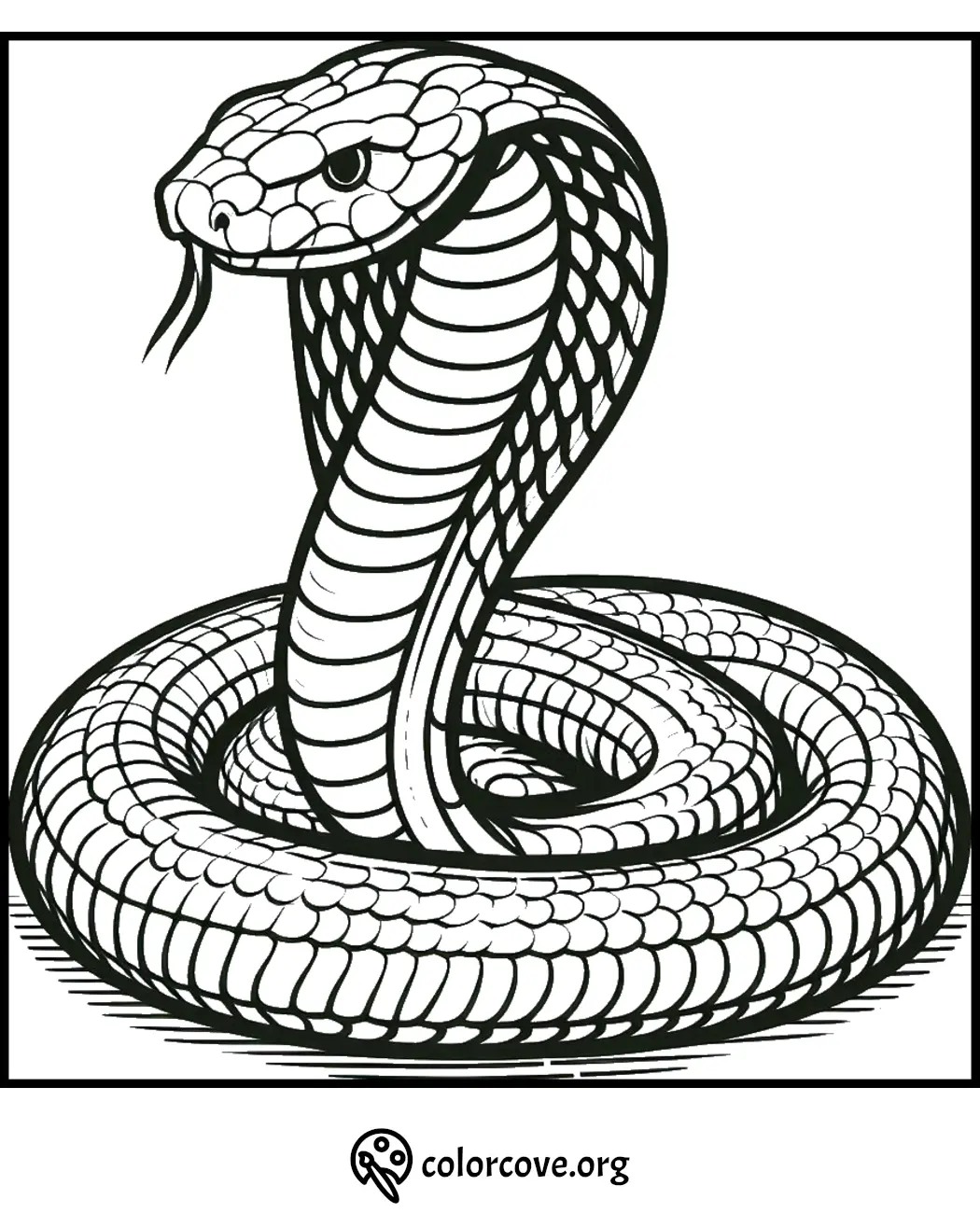 Detailed coloring page of a coiled cobra with hood flared. Ideal for reptile enthusiasts and coloring book fans.