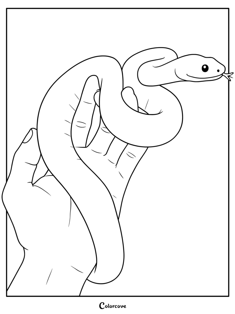 A friendly snake coiled around a human hand in this printable coloring page.