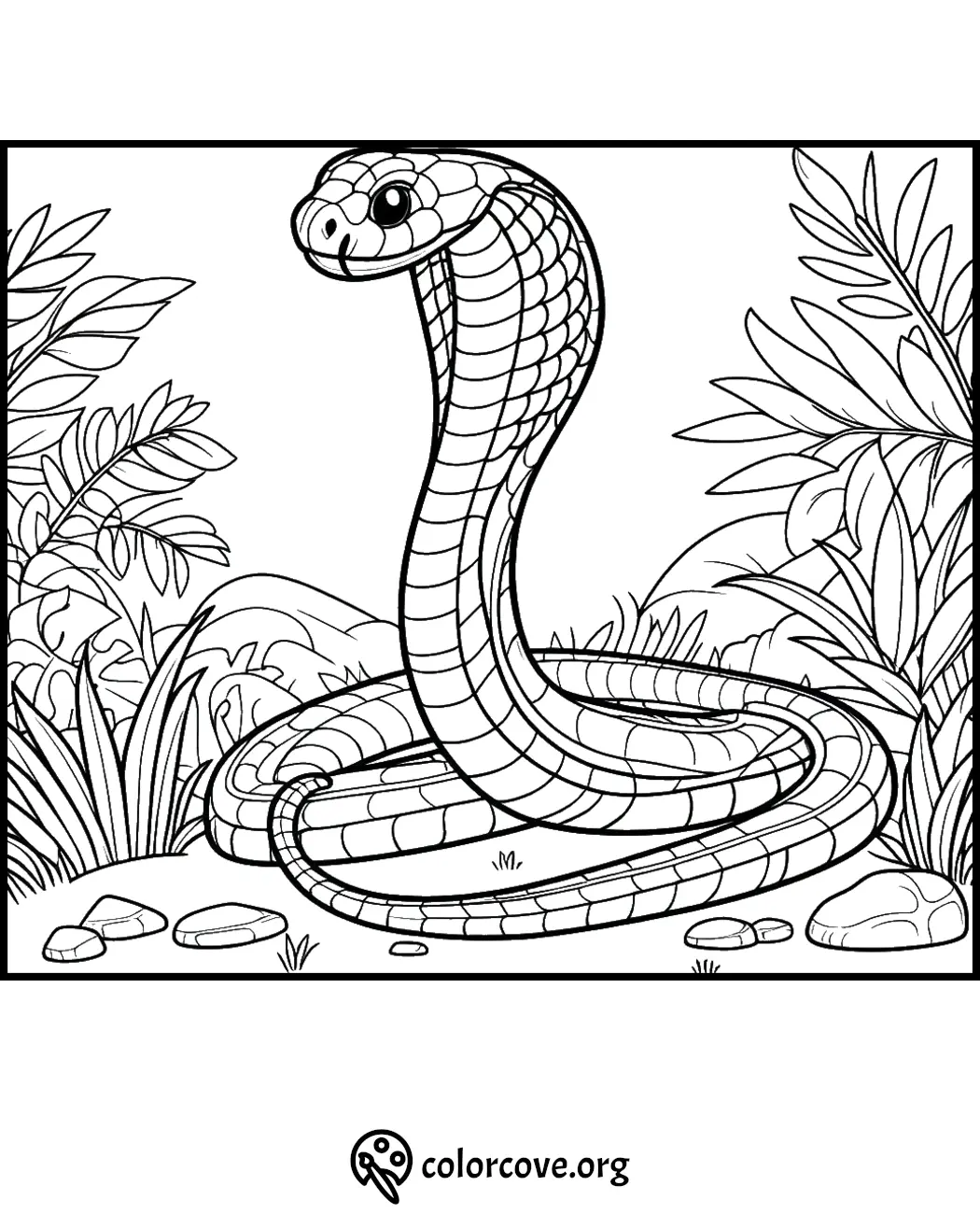 Coloring page featuring a detailed cobra snake in a jungle setting with plants and rocks. Perfect for kids and adults.