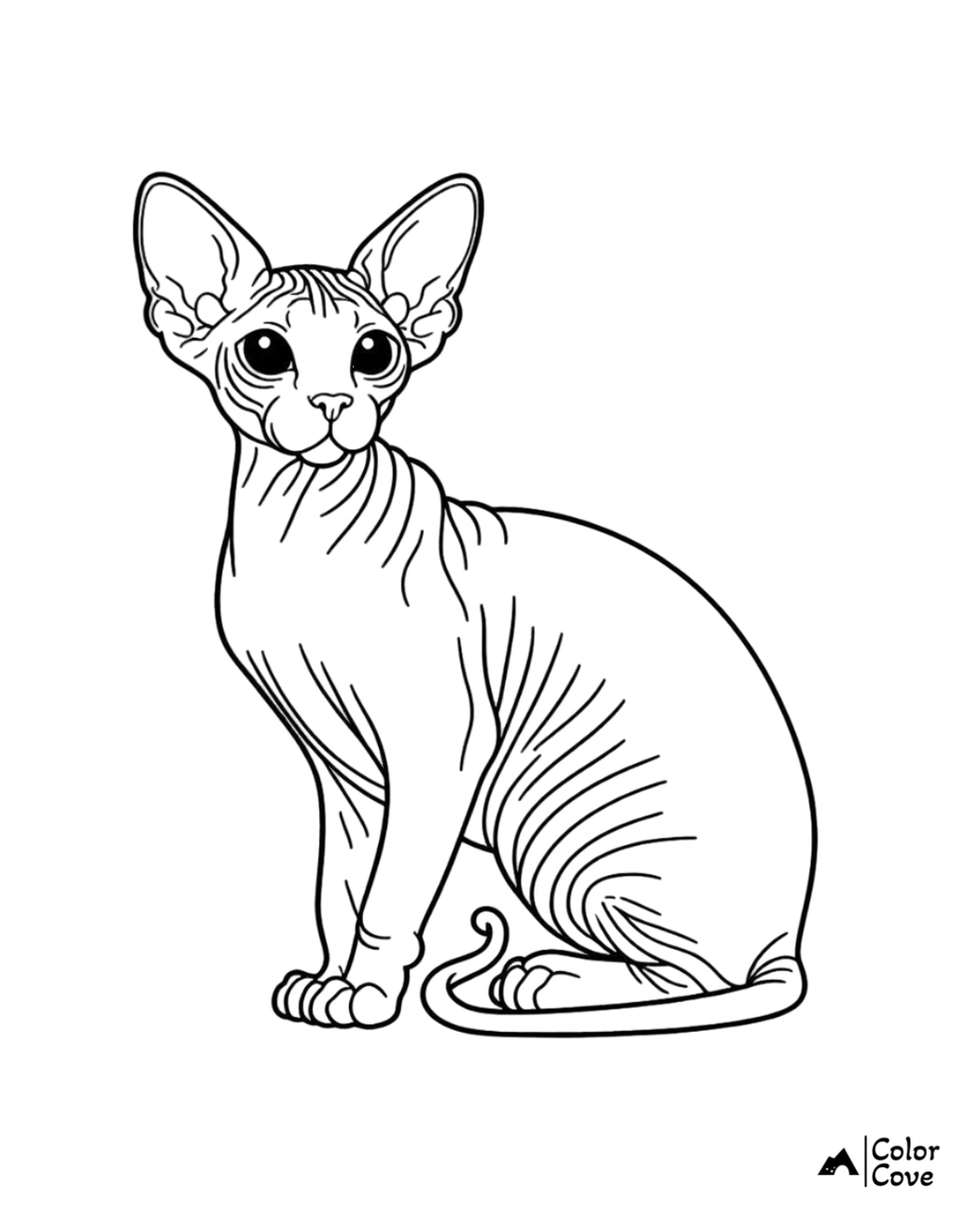 Coloring page of a Sphynx cat. Detailed line drawing for kids and adults to color. Free printable cat coloring sheet.