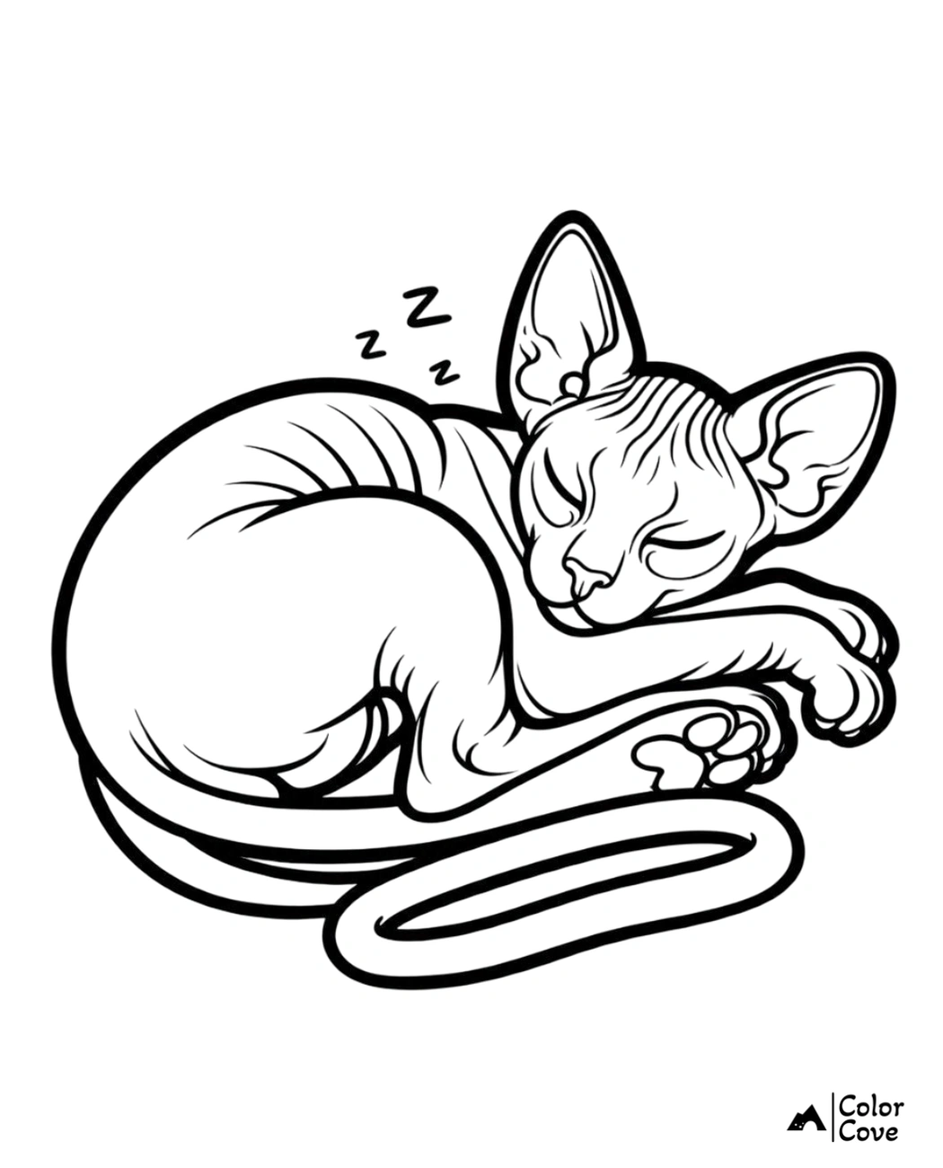 Coloring page of a sleeping Sphynx cat curled up with eyes closed and tiny 'Z's above its head indicating it's asleep.