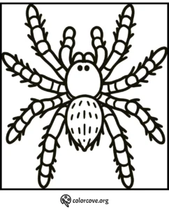 Spider coloring page with intricate leg patterns for kids and adults, from colorcove.org.