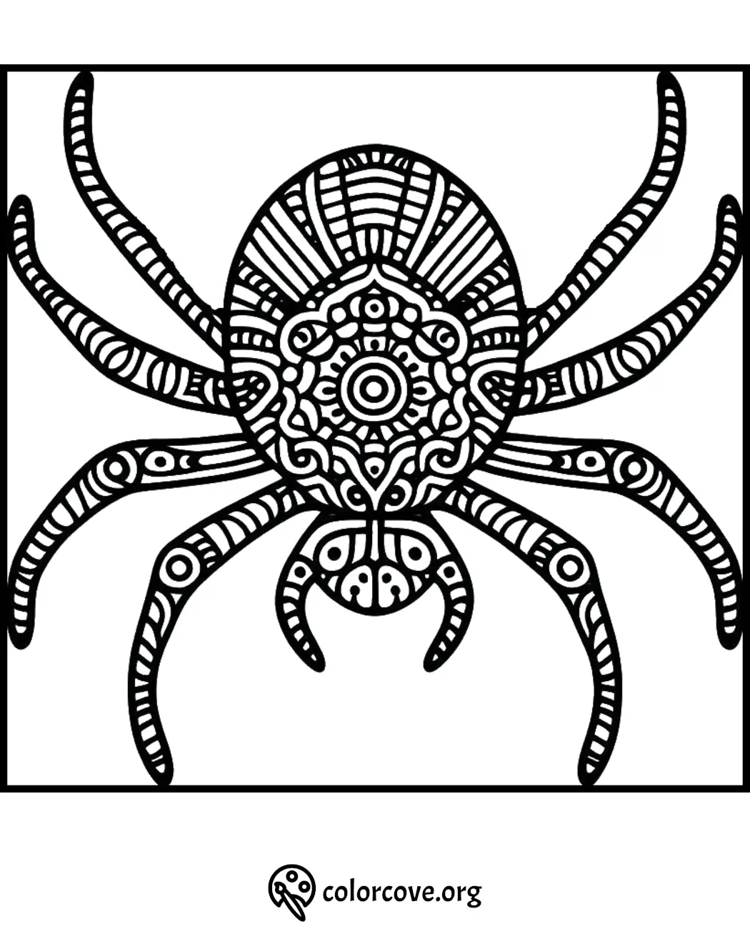 Intricate spider coloring page with detailed patterns. Ideal for stress relief and creativity. Free printable at colorcove.org.