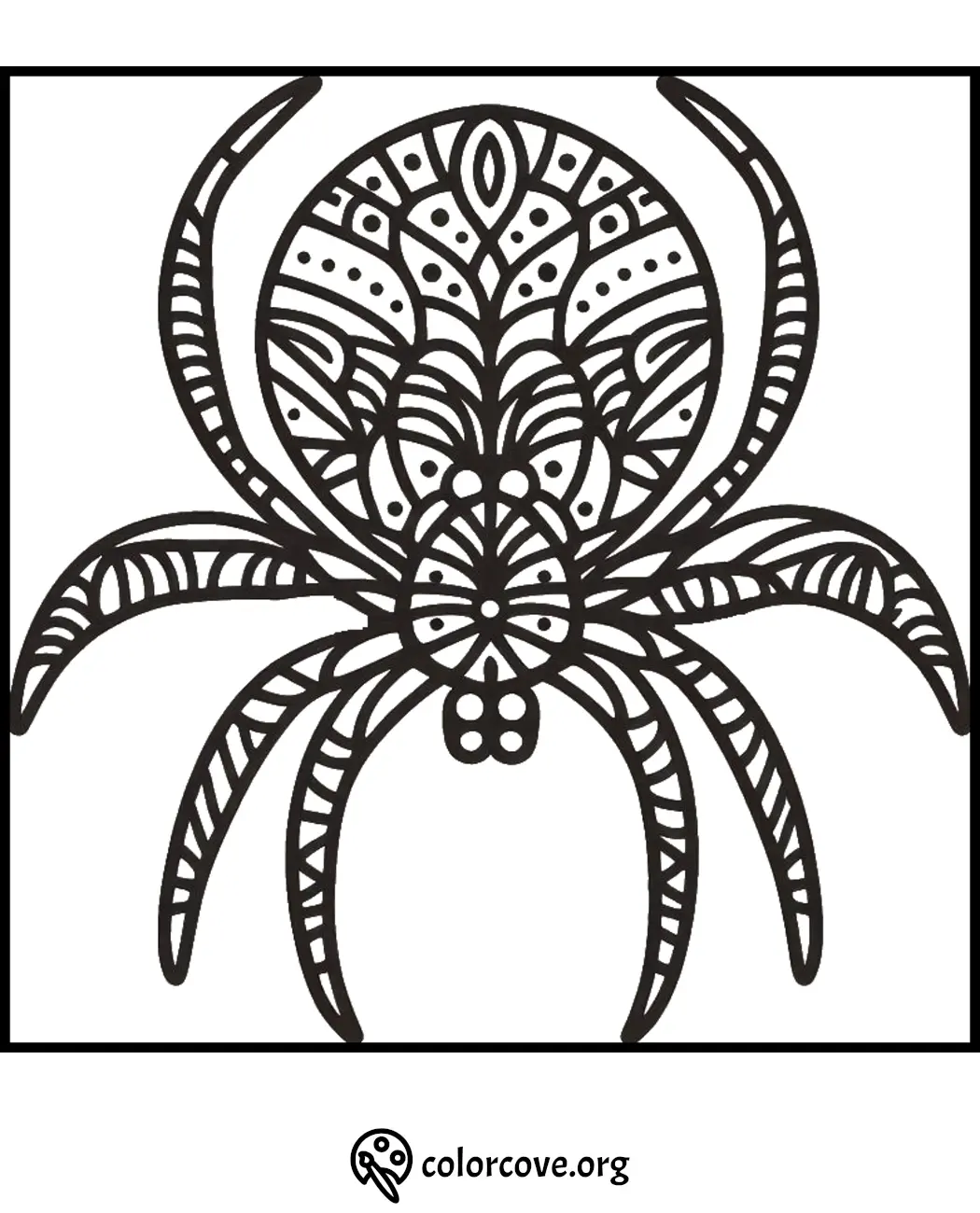 Intricate spider coloring page with detailed patterns for stress relief and creativity.