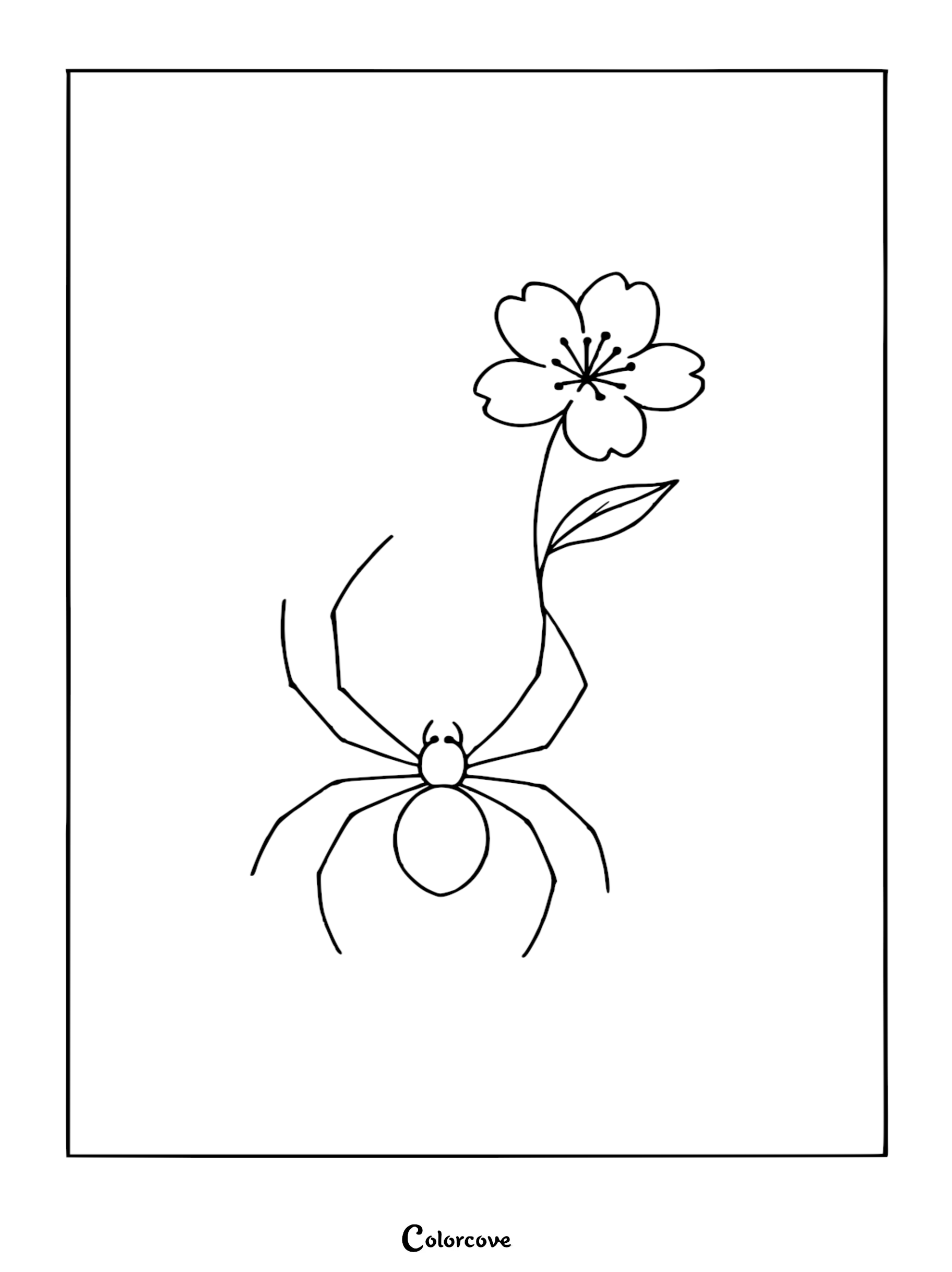 A simple line art coloring page featuring a small spider resting next to a single five-petaled cherry blossom flower.
