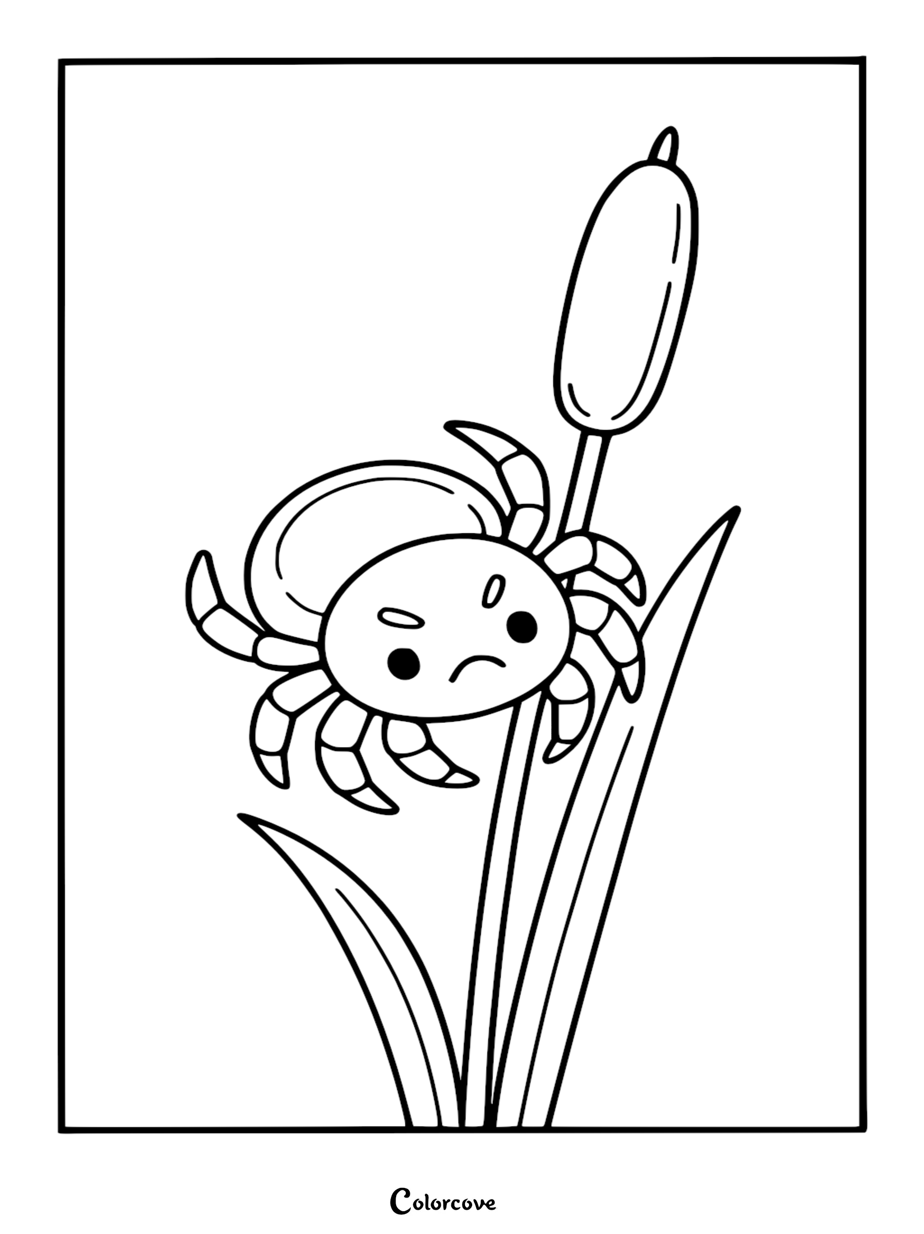 A grumpy cartoon spider clinging to a tall cattail plant in this printable coloring page.