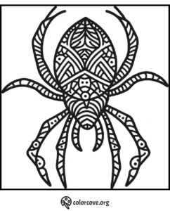 Intricate spider coloring page with detailed geometric patterns for creative coloring and relaxation.