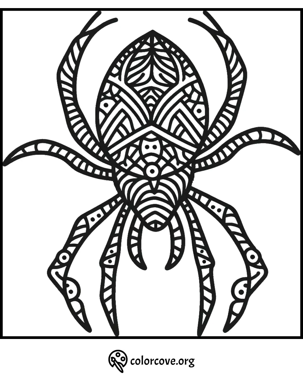 Intricate spider coloring page with detailed geometric patterns for creative coloring and relaxation.