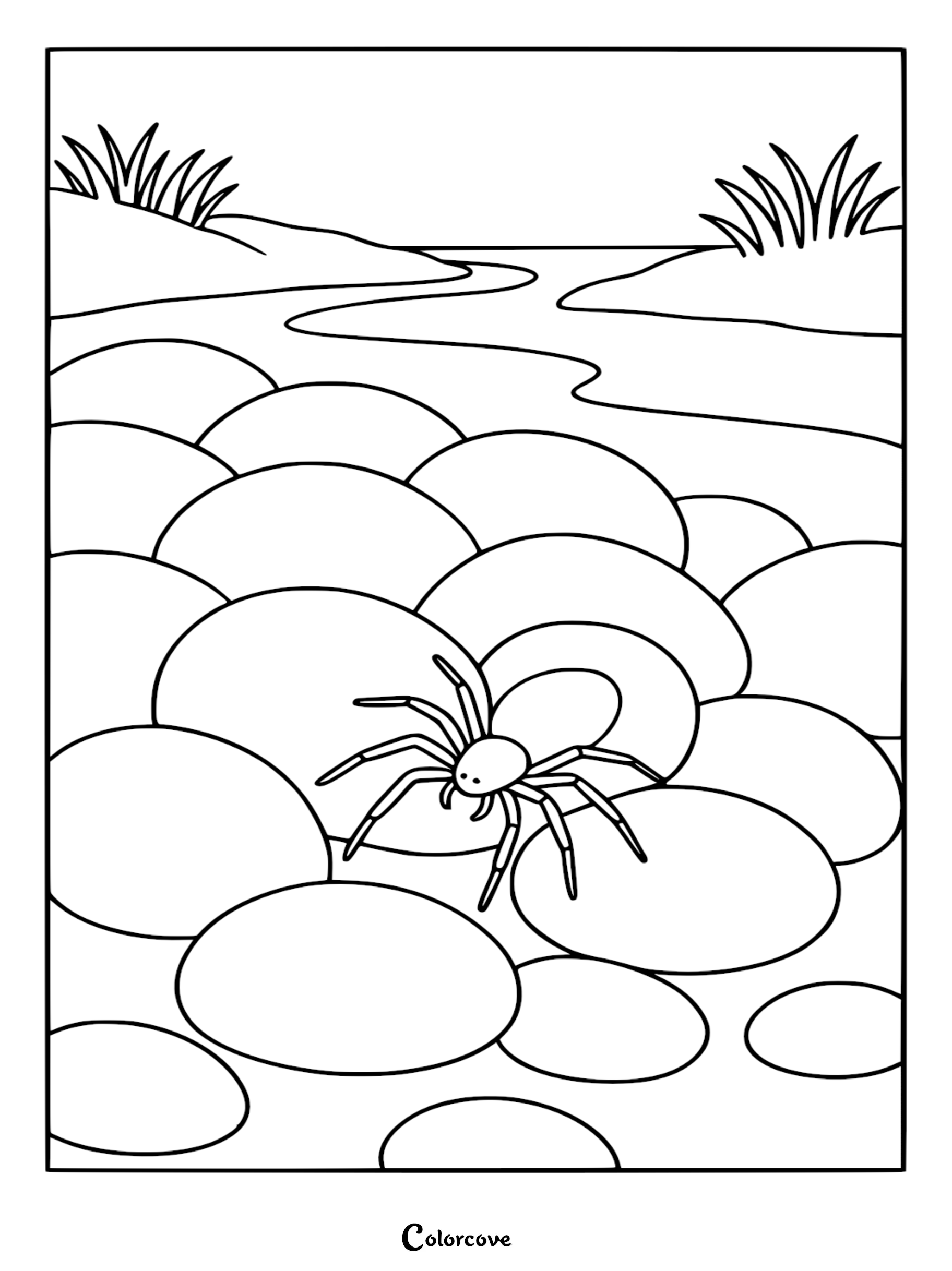 A small spider resting on smooth river stones near a flowing stream in this printable coloring page.