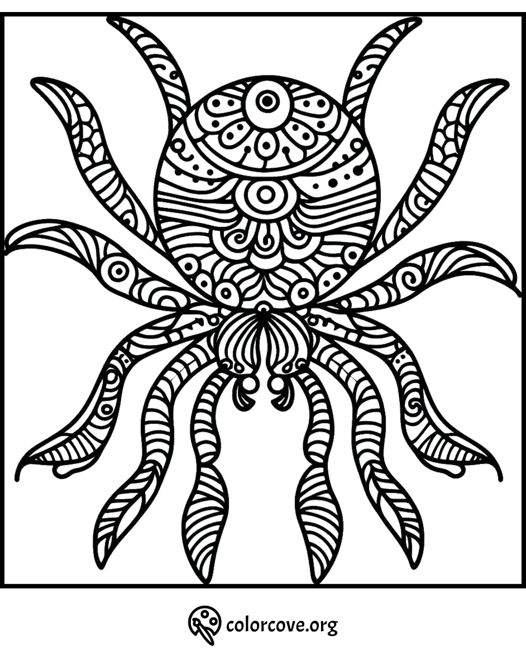 Intricate spider coloring page with detailed patterns for stress relief and creativity enhancement.