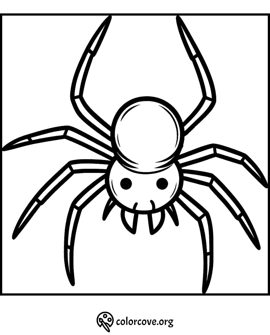 Spider coloring page for kids and adults, featuring a simple spider illustration to print and color.