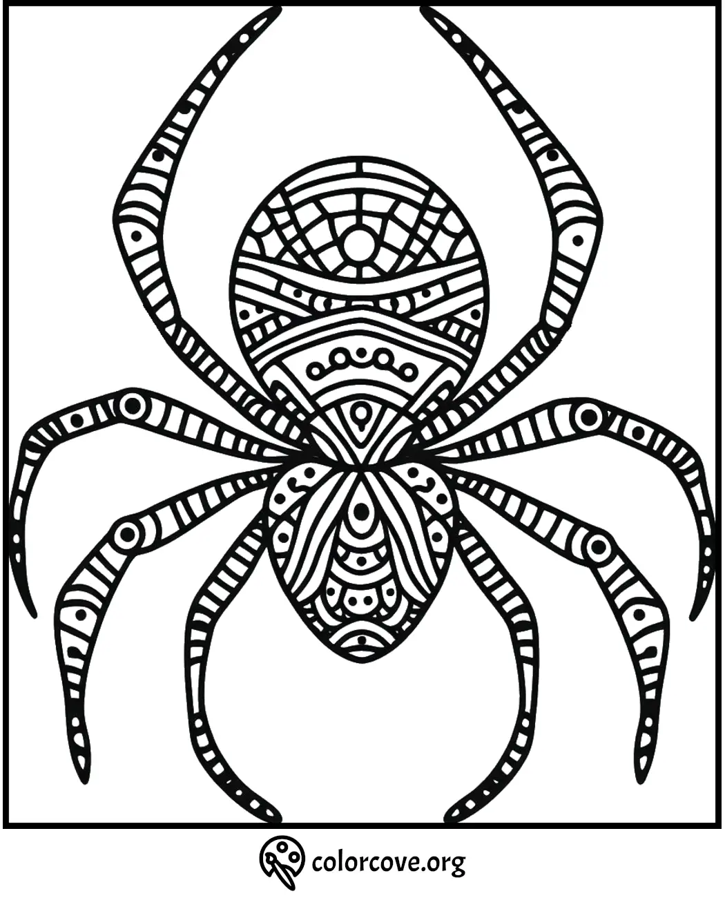 Intricate spider coloring page with detailed patterns for stress relief and creativity.