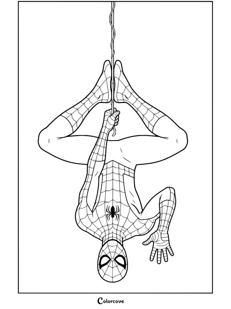 Dibujo para colorear para niños y fans de Spider-Man colgando boca abajo sujetando su telaraña con pies y manos