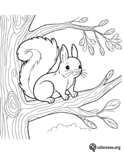 a squirrel on a tree