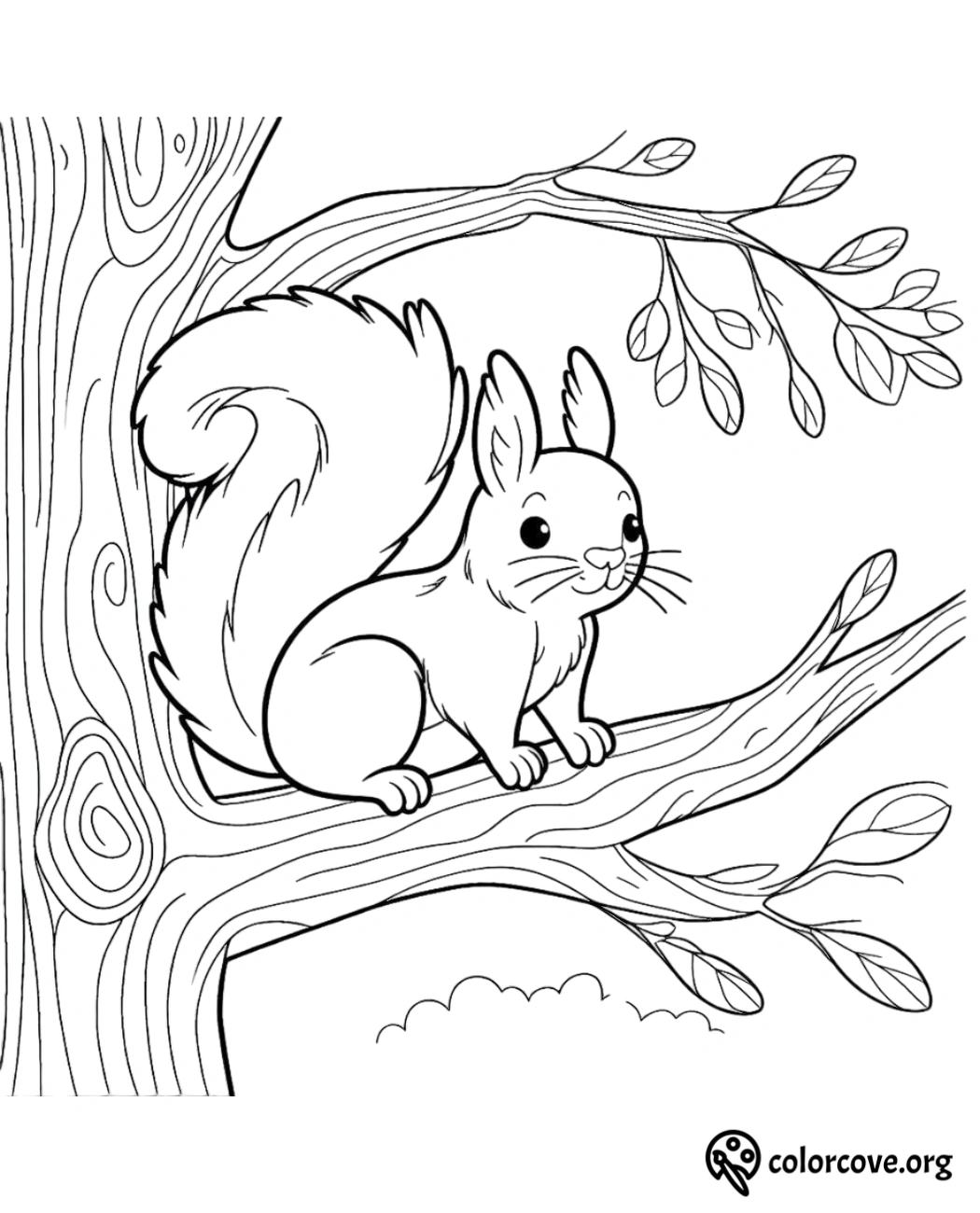 a squirrel on a tree