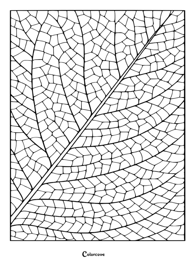 Detailed botanical coloring page featuring a close-up of a leaf with an intricate, web-like network of veins forming organic geometric shapes.
