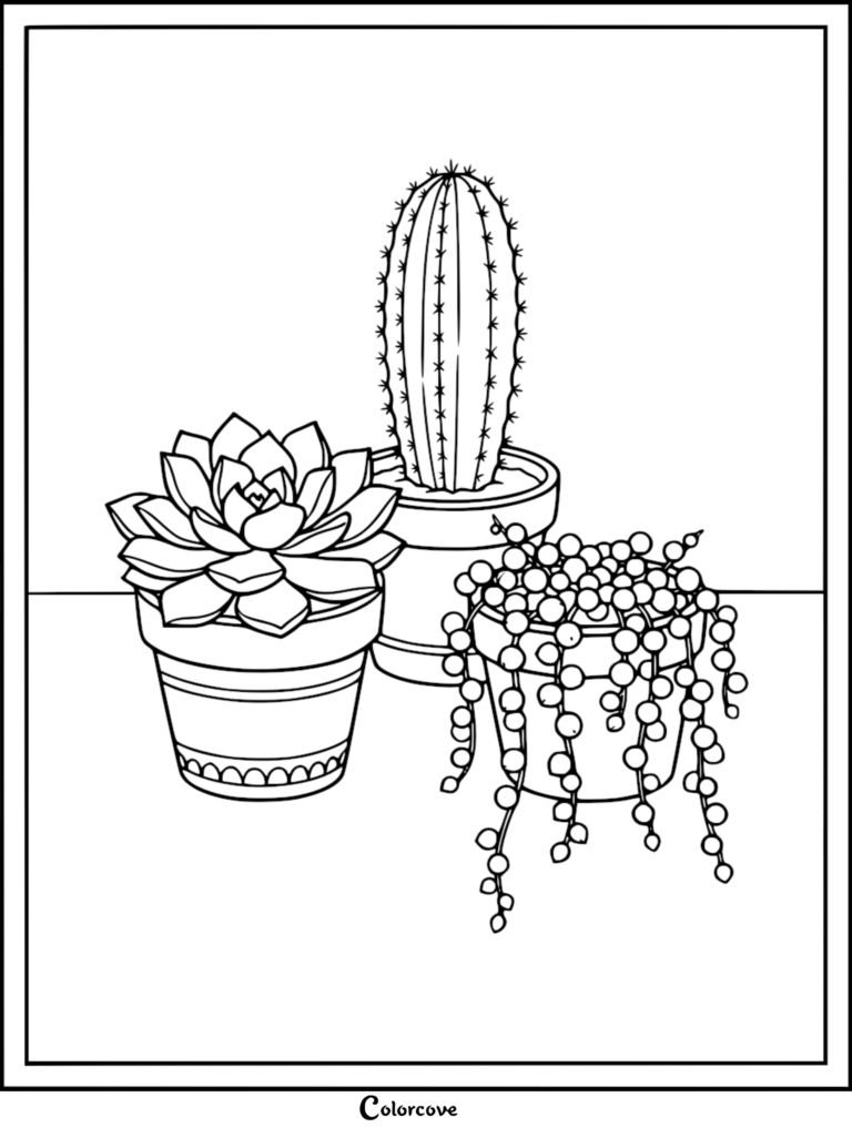 A stress-relieving coloring page featuring a potted succulent rosette, a tall barrel cactus, and a trailing string of pearls plant sitting on a flat surface.