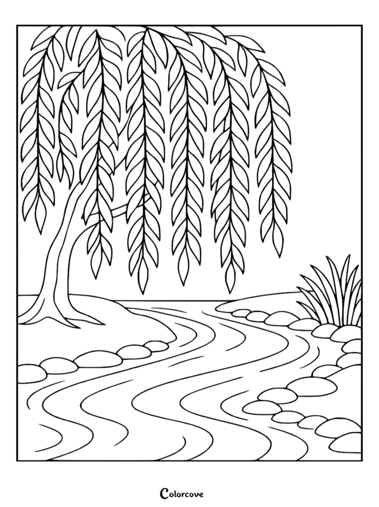 A relaxing nature-themed coloring page featuring a weeping willow tree hanging over a winding river with smooth rocks along the grassy banks.