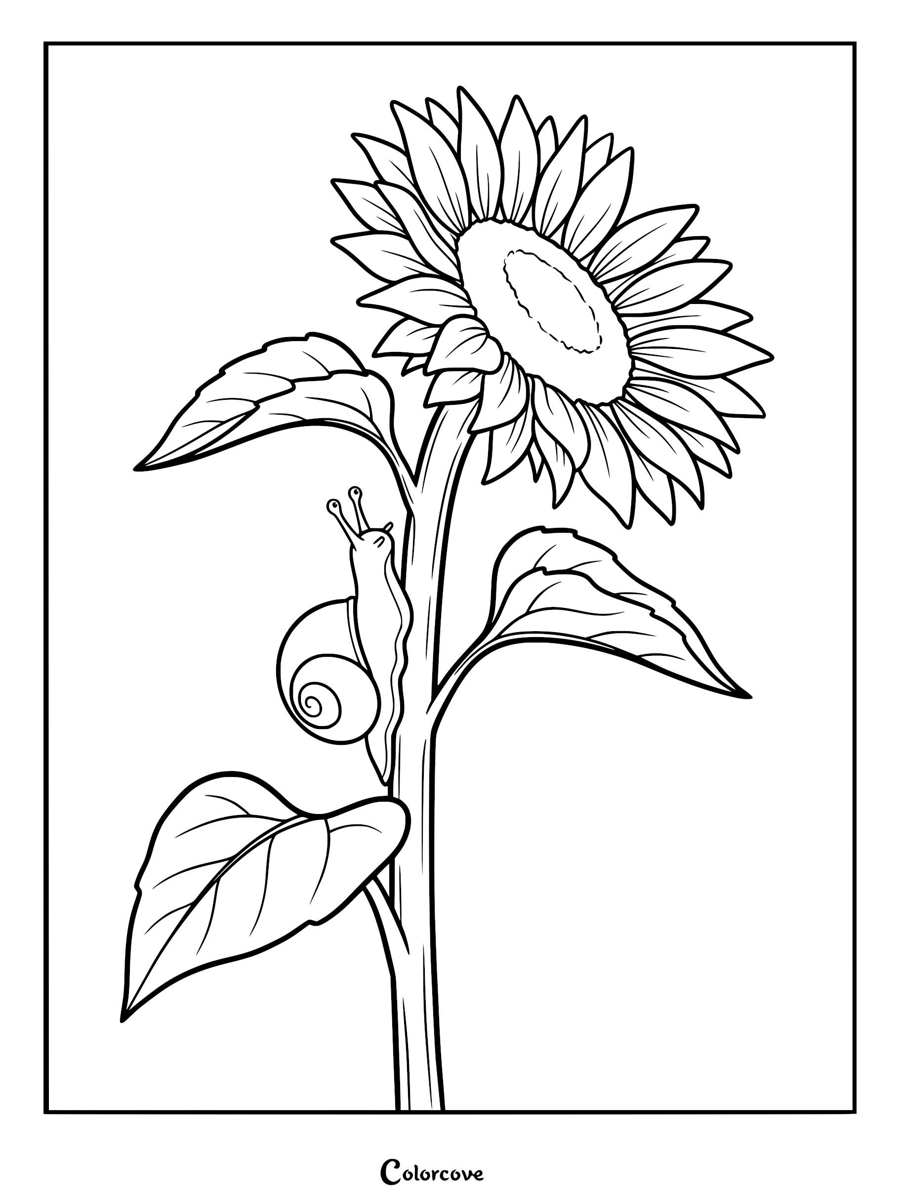 A detailed line art coloring page featuring a small snail crawling up the sturdy stem of a large, blooming sunflower with broad leaves.