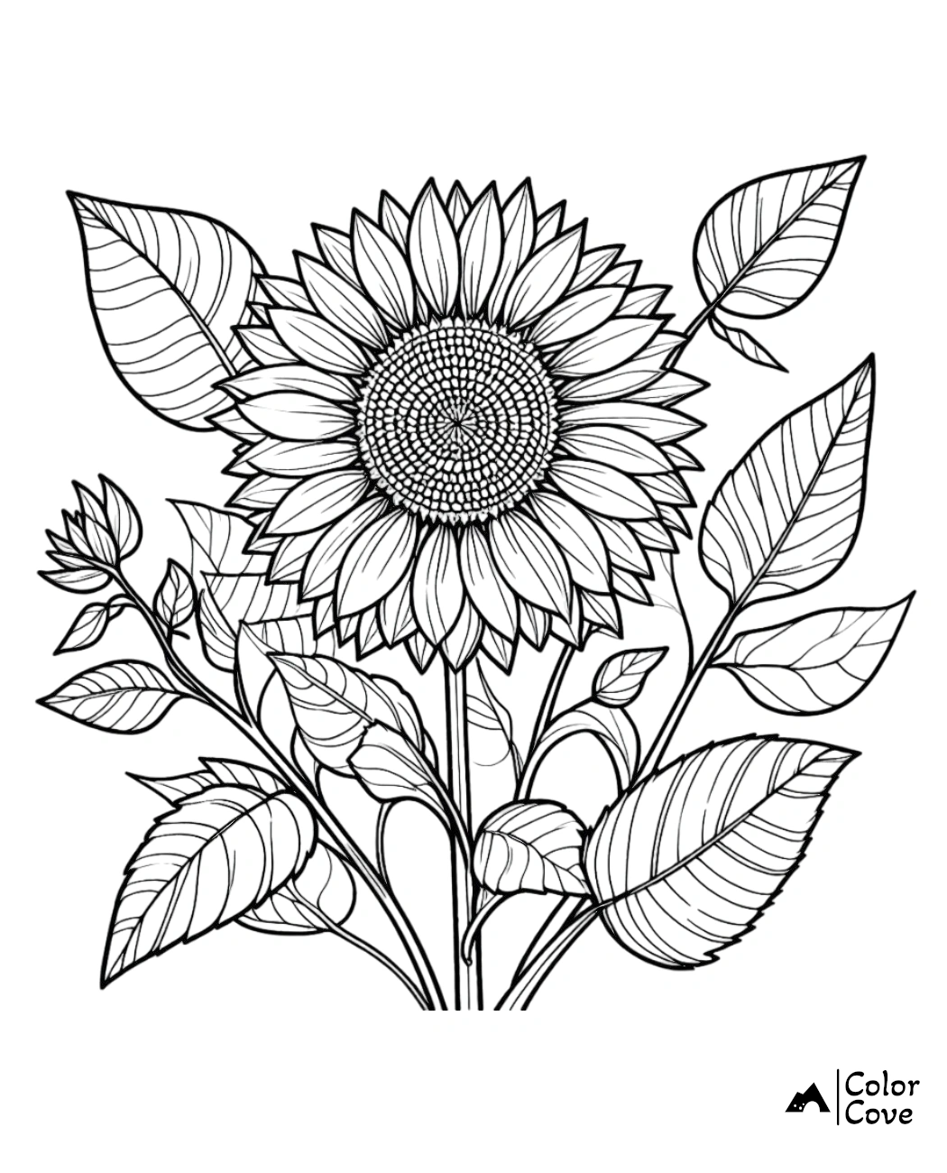 Sunflower coloring page featuring detailed petals and large leaves, perfect for kids and adults to color.