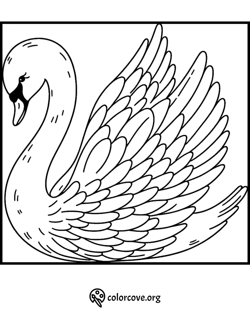 Coloring page featuring a detailed swan with elegant feathers, perfect for kids and adults to color and enjoy.