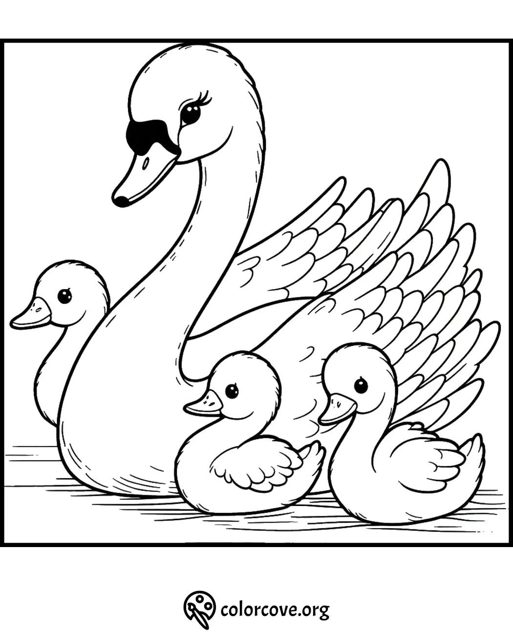 Coloring page of a mother swan swimming with three baby swans on a water adventure. Free printable for kids.