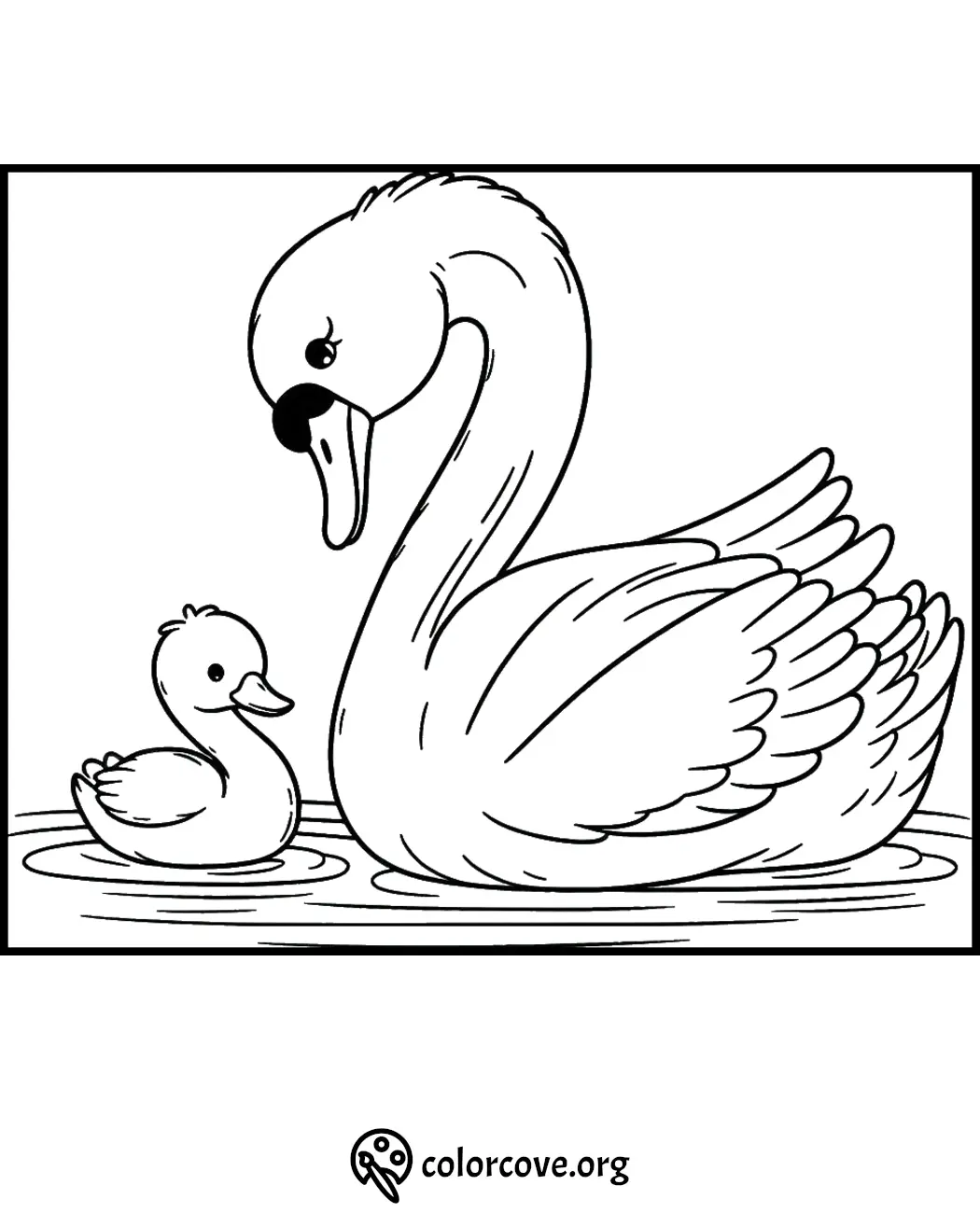 Coloring page featuring an adult swan with a baby swan on water. Perfect for kids' coloring activities.