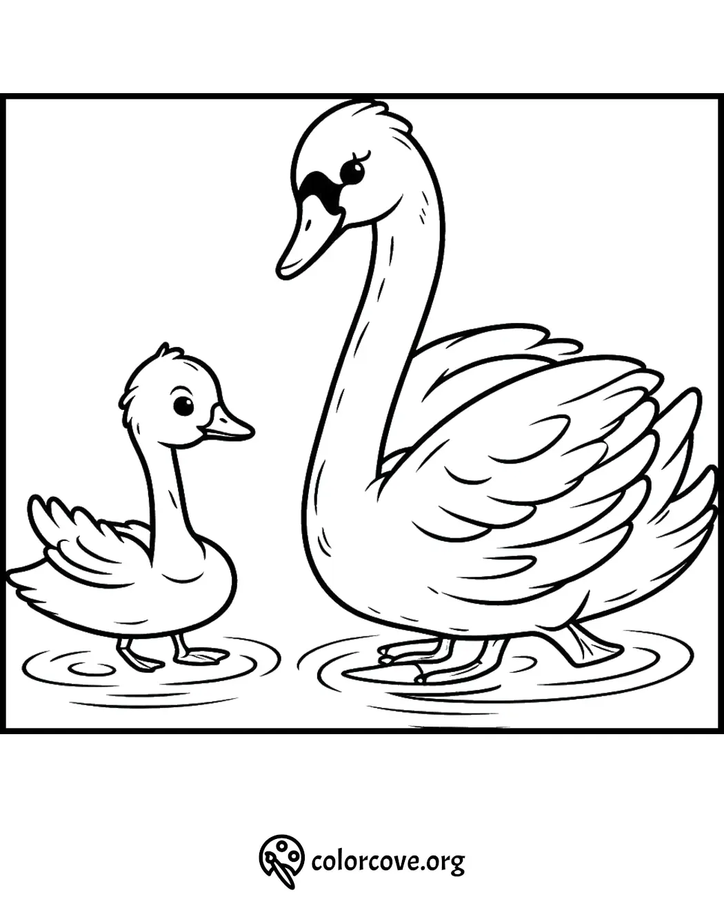 Coloring page featuring a mother swan and her cygnet swimming in a pond. Ideal for children's coloring activities.