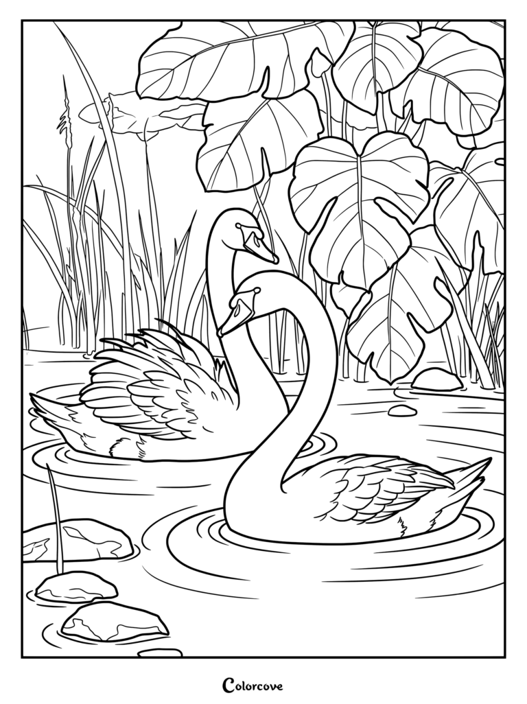Two elegant swans swimming together in a pond surrounded by large monstera leaves and tall reeds, detailed line art coloring page.
