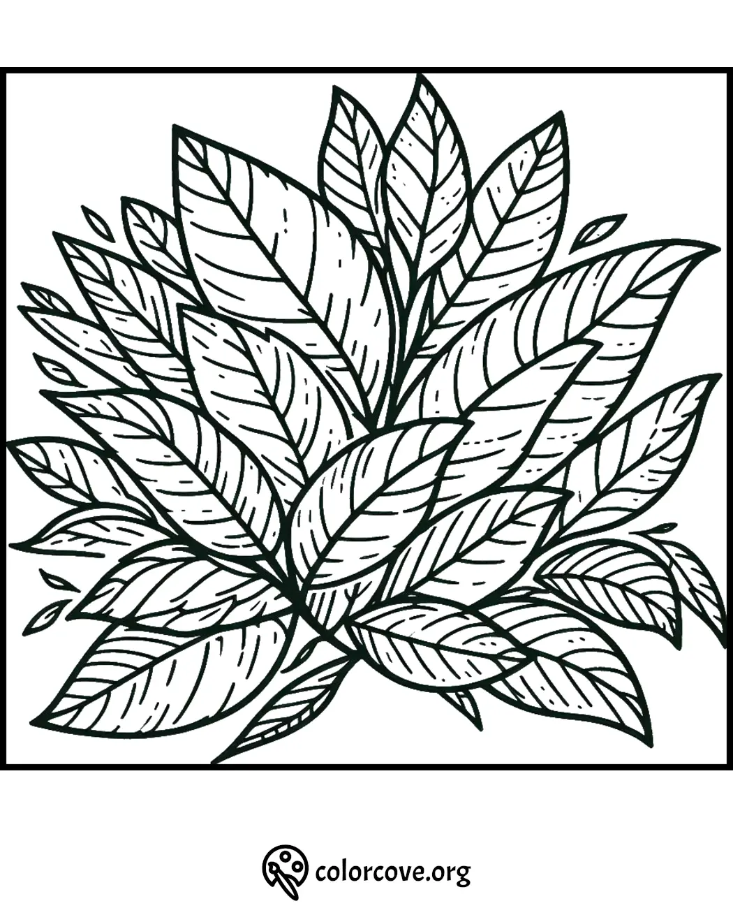 Detailed leaf coloring page with intricate patterns for adults and kids to color and relax. Visit colorcove.org for more.