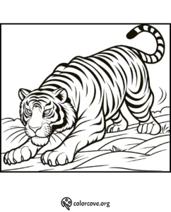 Black and white coloring page featuring a prowling tiger with distinct stripes, ideal for kids and adults to color.