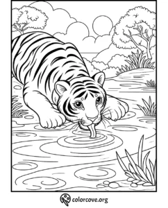 Coloring page of a tiger drinking water from a stream with trees and bushes in the background - colorcove.org.