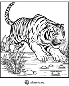 Tiger coloring page for kids featuring a majestic tiger walking through a water scene with plants. Free printable.