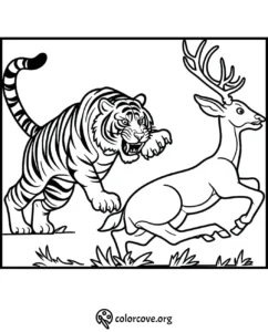 Tiger chasing a deer coloring page - Free wildlife coloring sheet from colorcove.org for children to enjoy and learn.