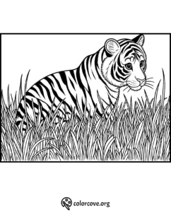 Tiger coloring page for kids and adults showcasing a tiger in tall grass. Printable and free from colorcove.org.