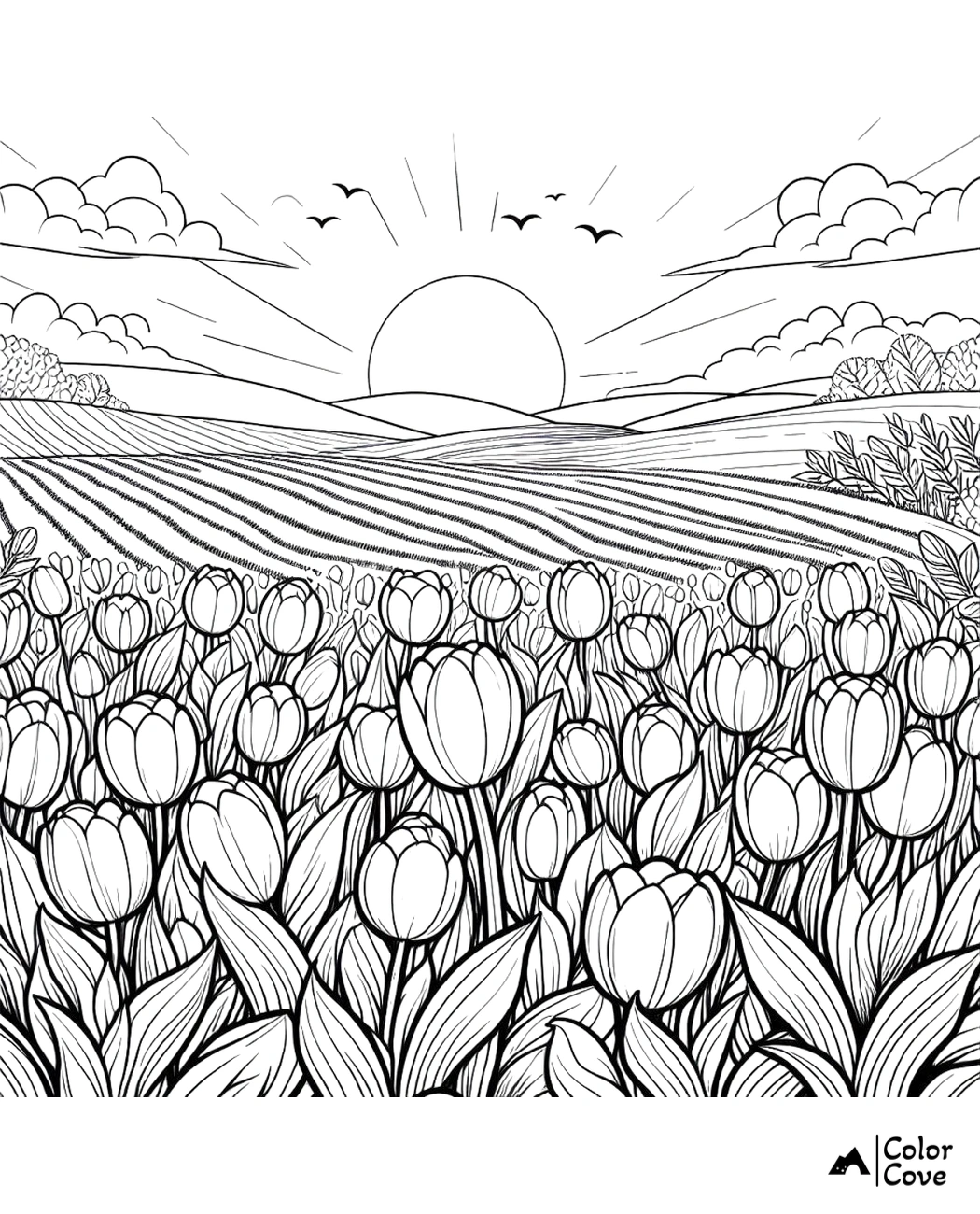 Tulip field coloring page with sunrise, clouds, and birds; nature-inspired illustration by Color Cove.