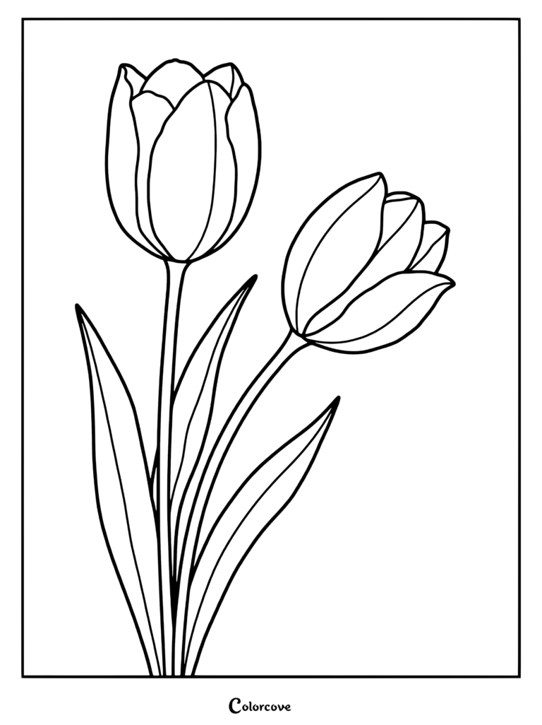 Two tulips with stems and leaves in a printable coloring page