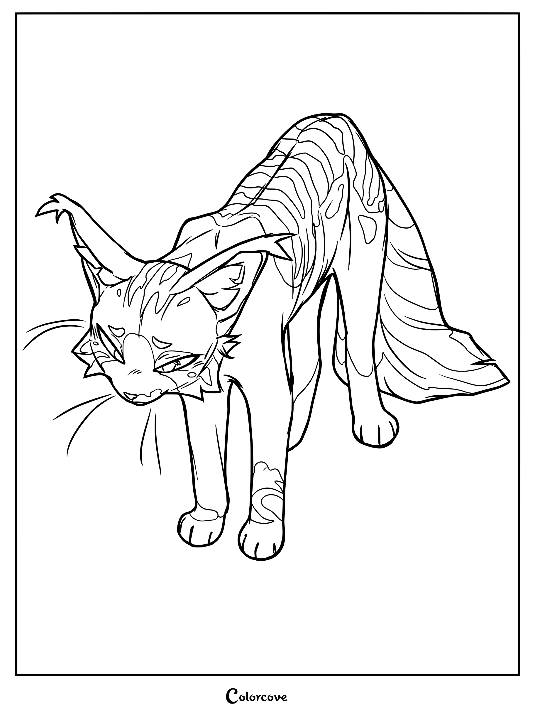 Dibujo para colorear de Fallenleaves de Los Gatos Guerreros, con un felino esbelto y marcas distintivas.